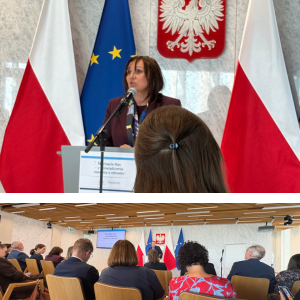 Udział w spotkaniach rządowych