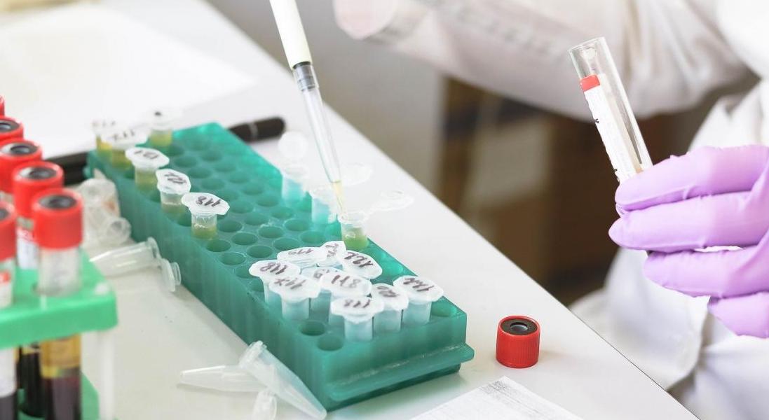 Dzień Diagnosty Laboratoryjnego